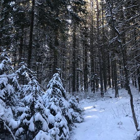Kungsbergetnatur Järbo Exterior foto