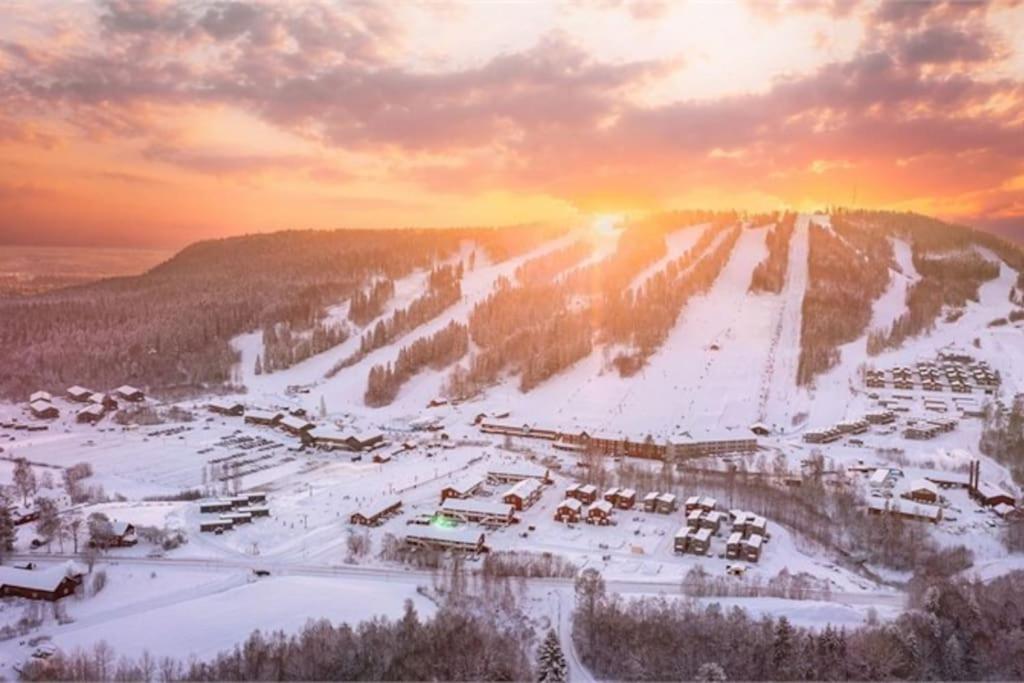 Kungsbergetnatur Järbo Exterior foto